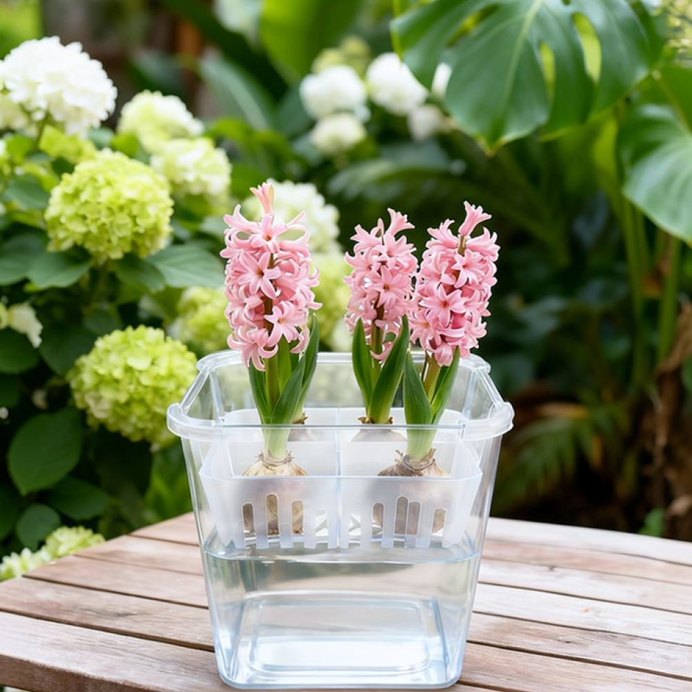 Vase Decor - Lale ve Zambak Bulunduğunda Kullanılabilen, Şeffaf,