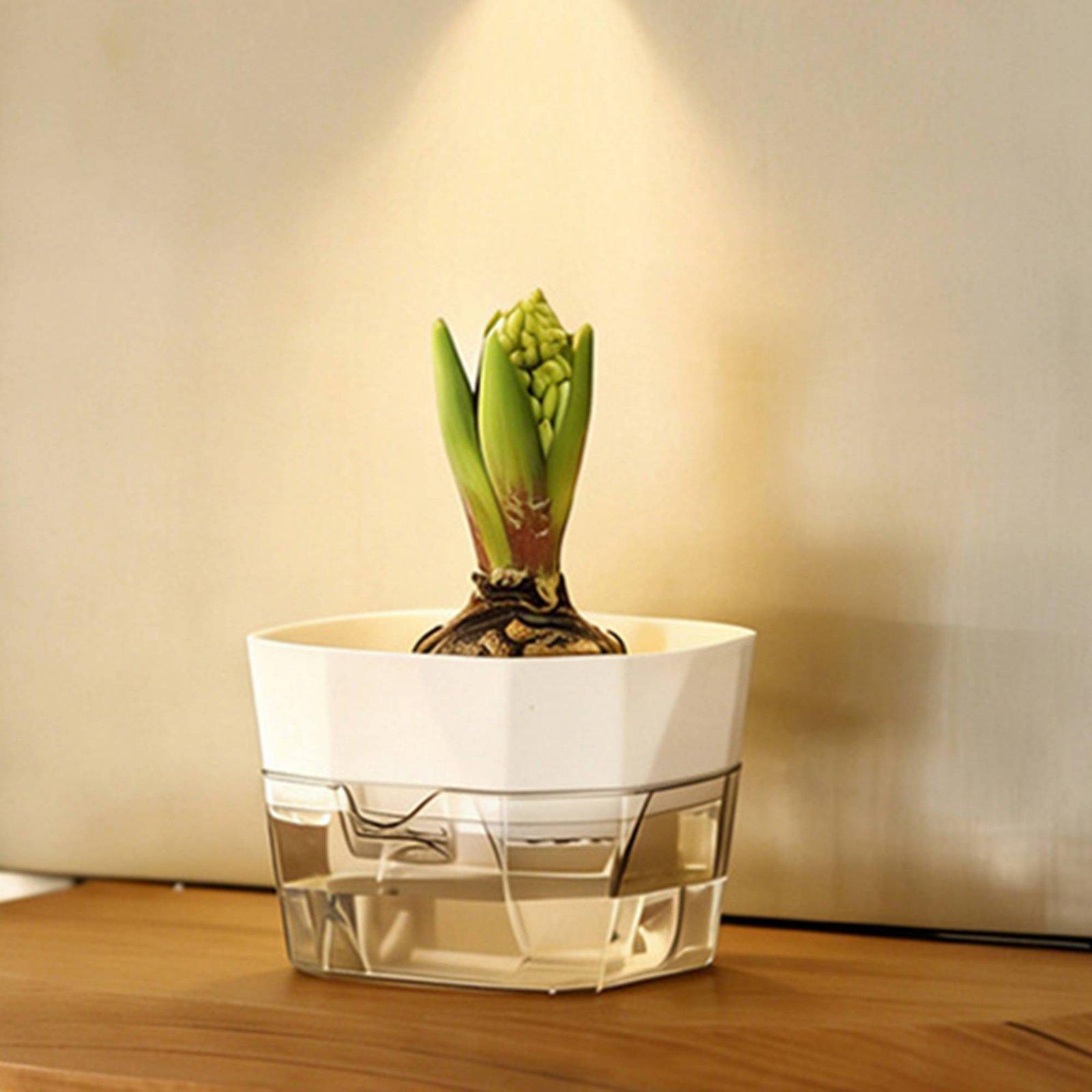 Hidroponik Vazo İki Katmanlı K - Vase Decor incelemesi ve fiyatı